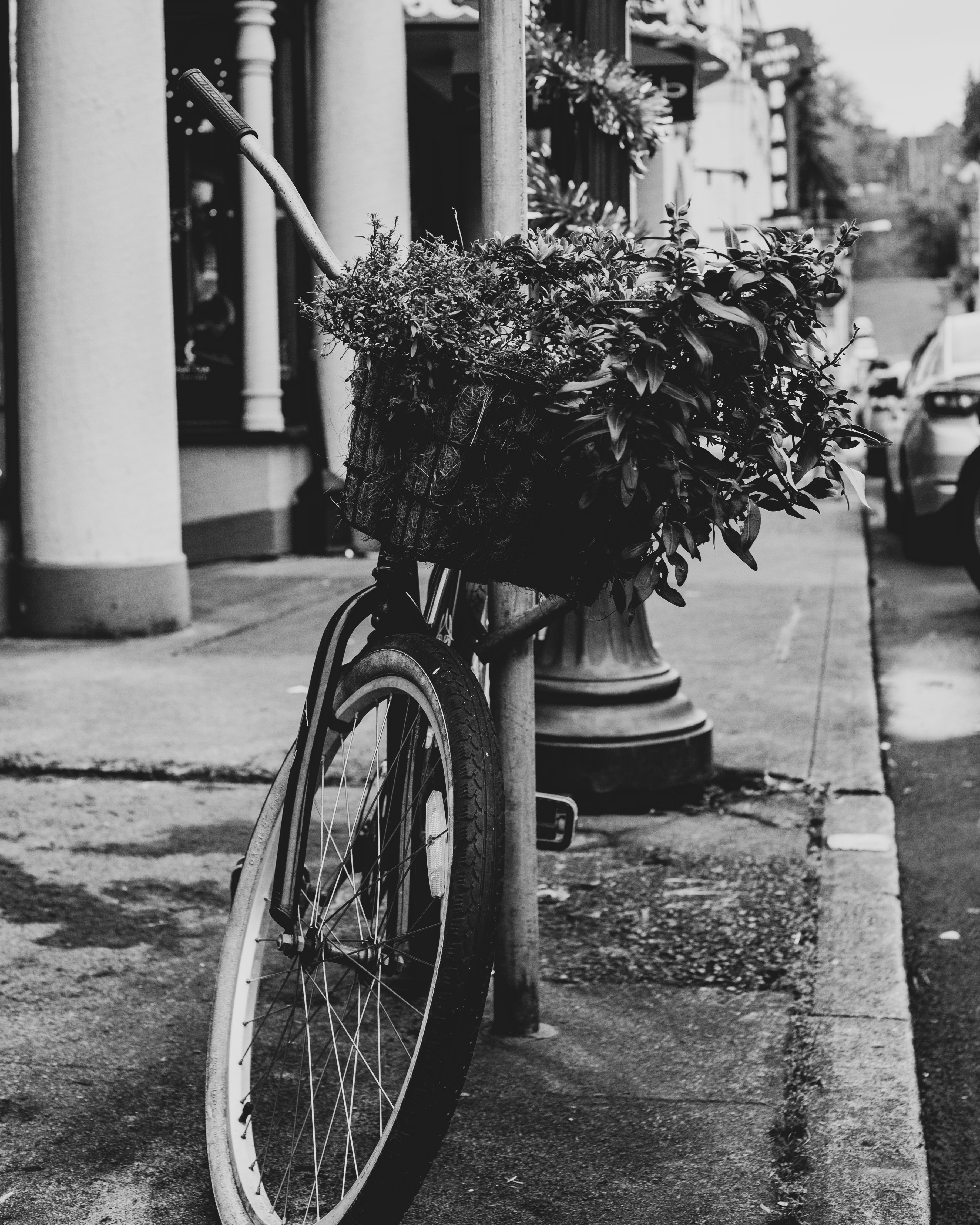 grayscale photo of bicycle with flowers on top